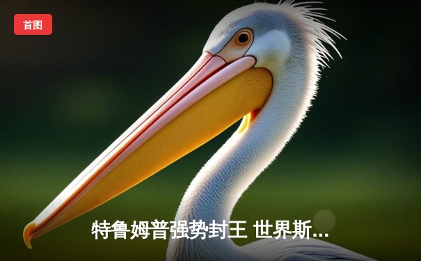 特鲁姆普强势封王 世界斯诺克锦标赛诞生新传奇